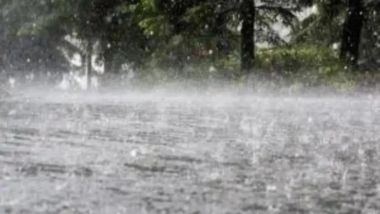 urbanshub (46) Heavy Rain Alert: उत्तर भारत में 30 अगस्त तक भारी बारिश की चेतावनी, स्कूल-कॉलेज पर असर संभव
