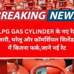 LPG Gas Cylinder के नए रेट जारी, घरेलू और कॉमर्शियल सिलेंडर में कितना फर्क,जाने नई रेट