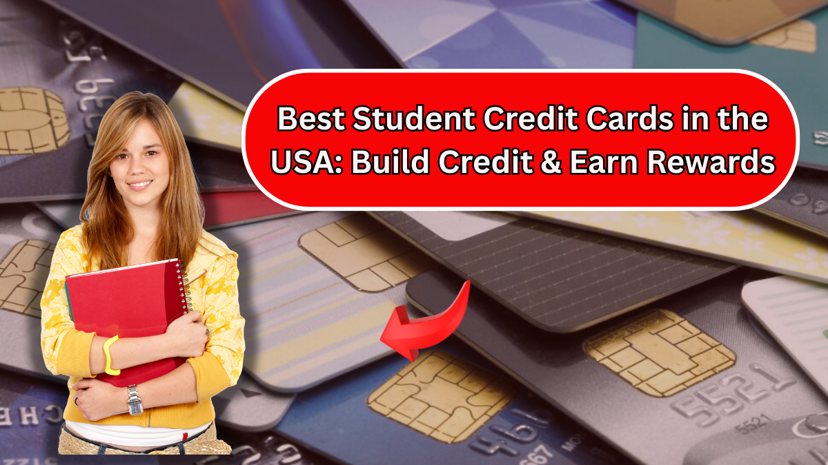 Best Student Credit Cards in the USA: Build Credit & Earn Rewards